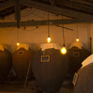 PROVA ESPECIAL TALHA PREMIUM