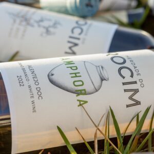 PROVA VINHOS ÂNFORA