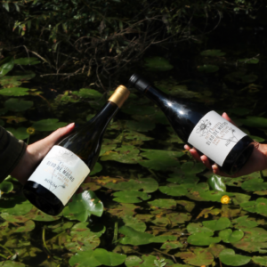 PROVA VINHOS OLHO DE MOCHO