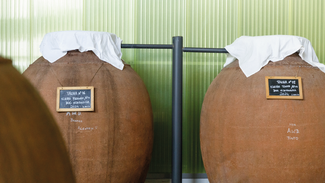 Amphora Wine Day